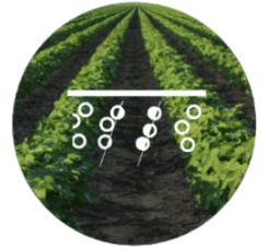 Yield and Land Use